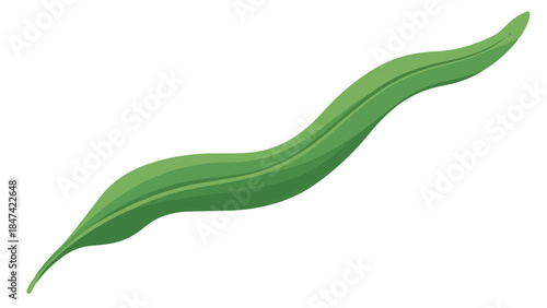 Stylized elongated verdant leaf rendered with flowing curves and subtle tonal variations on a white background
