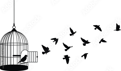 Open Birdcage Freedom Silhouette