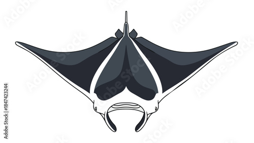 Striking illustration of a majestic manta ray in profile against a clean white background, perfect for oceanographic content