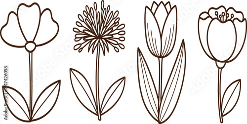 Four different types of flower illustrations