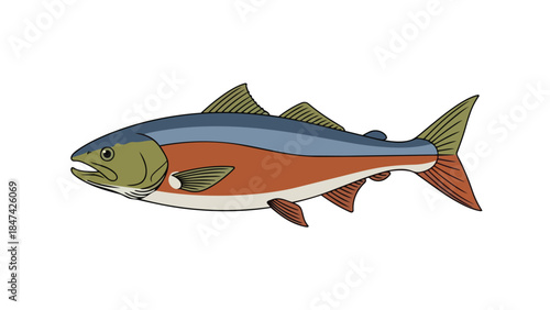 Vibrant aquatic fish illustration swimming gracefully with distinct colors an artistic representation of marine life and freshwater ecosystems for