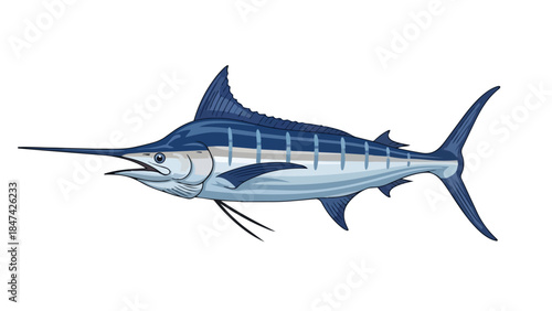 Dynamic vector illustration of a majestic blue marlin, iconic ocean predator. Showcasing its distinctive pointed bill and sleek striped body,