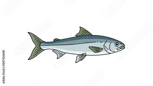 Minimalist Aquatic Creature Illustration: A Serene Marine Life Drawing on White Background