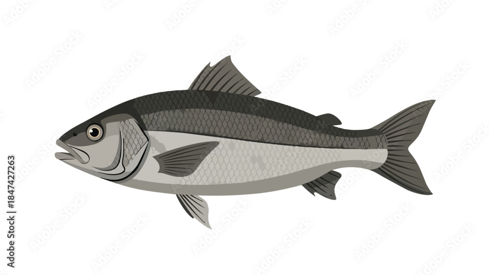 Obraz premium An elegant graphic illustration of a fish, dynamically depicted with intricate scales and graceful fins. This artwork beautifully captures its full