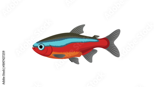 Vibrant freshwater fish illustration showcasing a striking tropical aquatic creature with bright red and blue stripes swimming gracefully in clear