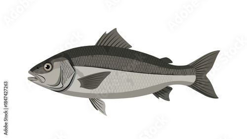 An elegant graphic illustration of a fish, dynamically depicted with intricate scales and graceful fins. This artwork beautifully captures its full