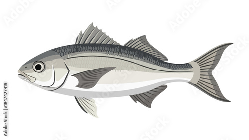 Vector illustration capturing the essence of an aquatic creature, showcasing its sleek form, intricate fin details, and subtle scale texture against