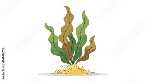 Digital art portraying a stylized underwater plant with wavy green and brown fronds emerging from a sandy base, isolated on white. Clean design