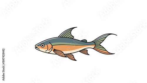 A simple illustration of a serene aquatic creature gracefully swimming, showcasing its vibrant scales and distinctive fins in a peaceful isolated