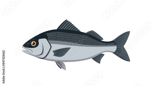 A sleek modern flat design illustration of a fish with intricate scale patterns and distinct fins presented in a clear versatile vector graphic for