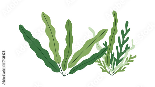 Abstract Aquatic Flora Collection Displaying Vibrant Green Foliage Against a Clean White Background