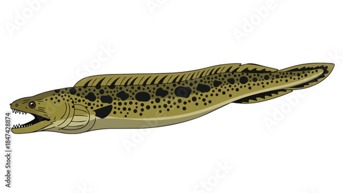 Illustrative depiction of a formidable moray eel showcasing its patterned body and sharp teeth against a stark white backdrop