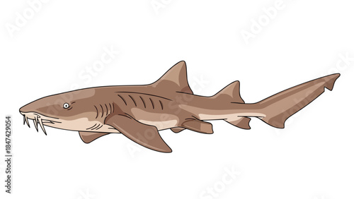 Illustration of a Tawny Nurse Shark with prominent teeth and gills isolated on a white background