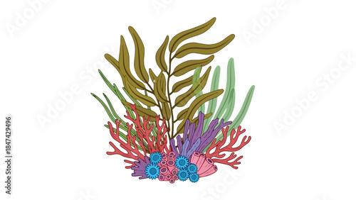 Vibrant Undersea Flora and Fauna Illustration: A Colorful Coral Reef Scene