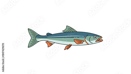 A stylized cartoon illustration of a silvery blue fish with orange accents swimming against a white background