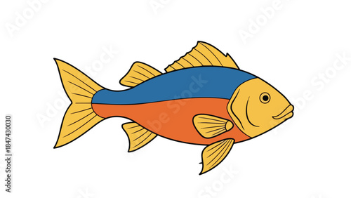 Vibrant Bicolored Aquatic Dweller With Bold Outlines And Stylized Fins