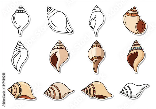 Sea Shells Collection Diverse Seashell Designs in Vector Format