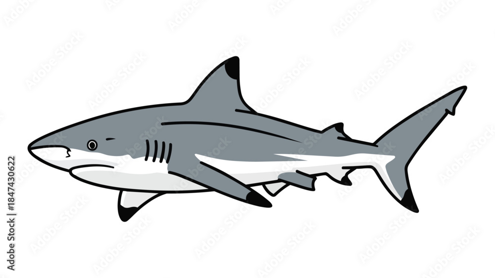 Fototapeta premium A charming illustration of a grey reef shark in profile, showcasing its distinctive fin and sleek body shape against a white backdrop