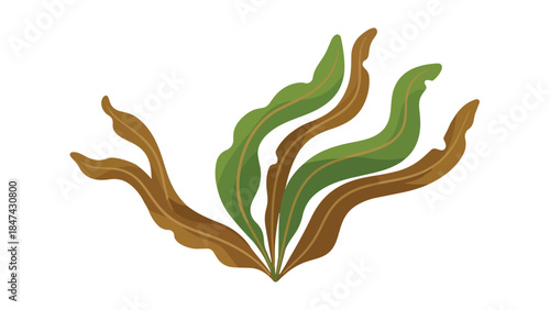 Stylized aquatic vegetation with flowing fronds in earthy and verdant tones, isolated on white background
