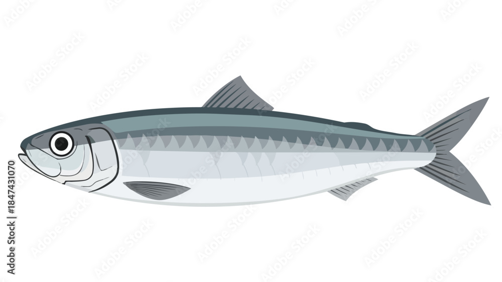 Obraz premium Stylized Illustration of a Silver Sardine Fish Depicting Marine Life and Aquatic Ecosystems