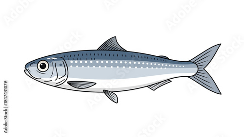 Stylized Illustration of a Single Sardine Fish with a Classic Marine Profile and Distinctive Markings