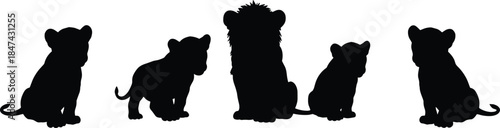 Lion cub silhouettes, animal vector illustration, wildlife icon set, black and white art, cad drawing flat vector illustration, jungle baby lions