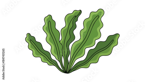 Stylized illustration of verdant wavy fronds on a pristine white backdrop