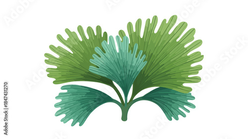 Intricate green ginkgo leaf arrangement with detailed veins and layered textures isolated on a white background
