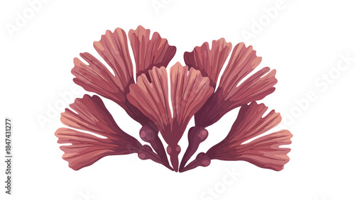 Delicate arrangement of fanned botanical elements in a rich aubergine hue against a pure white backdrop