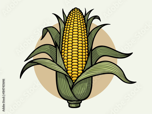 A detailed illustration of a ripe ear of corn, showcasing its yellow kernels and green husks against a neutral background.