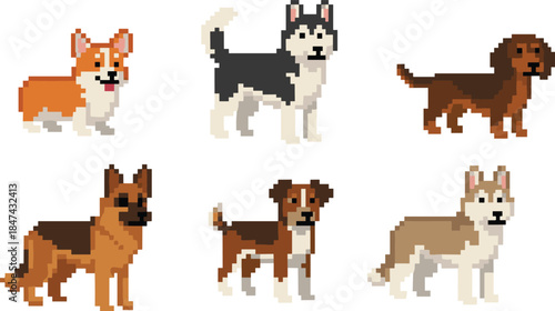 Pixel art dog breeds collection, cute retro 8 bit pets, colorful canine characters, isolated on white background illustration