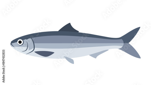 Cleanly illustrated profile of a sleek, silver-blue fish in a clear white background for aquatic themes