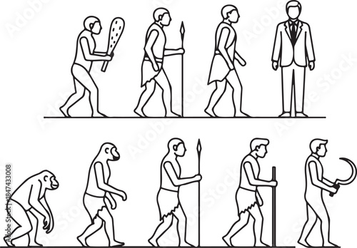 Human Evolution Line Art Showing Progression from Ape to Modern Man monkey primitive