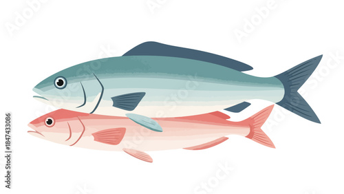 Stylized illustration of two aquatic creatures swimming in unison showcasing vibrant coloration and elegant form