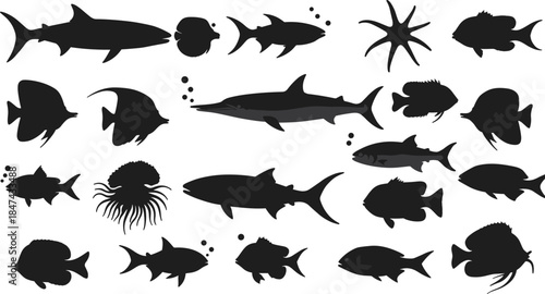 Sea animal silhouettes, marine life vector, ocean creatures illustration, black and white art, cad drawing flat vector illustration, underwater biodiversity icons