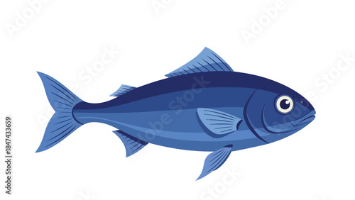 Stylized blue fish illustration with fins and a prominent tail on a white background