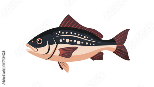A detailed illustration of a freshwater fish with intricate patterns and a realistic profile against a white background for design