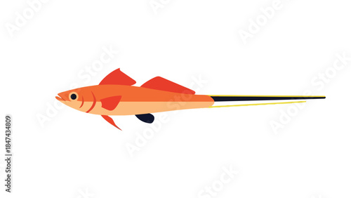 Vibrant Orange Fish with Elongated Tail Fin and Stylized Aquatic Illustration