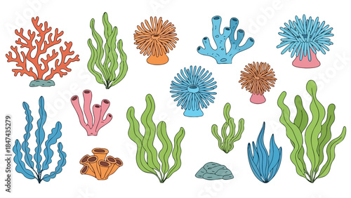 Vibrant collection of illustrative marine flora and fauna showcasing diverse underwater life forms in a stylized artistic representation