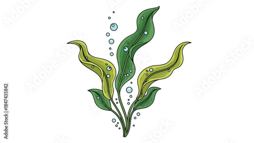 Vibrant aquatic plant with rising bubbles in a simple illustration style for nature themes