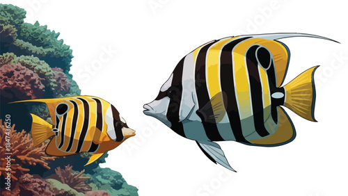 Vibrant Butterflyfish Pair Interacting Amidst Detailed Coral Reef Textures Underwater