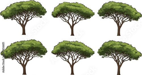 Set of Six Stylized Green Trees with Brown Trunks in Flat Vector Style for Nature, Environment, Landscape, and Educational Design