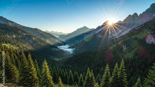 Sunrise over a misty mountain valley with pine trees and dramatic sun rays.
