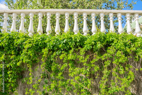 White balustrade on  a background of green plants