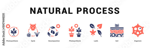 Natural Process Modern and clean web banner illustration featuring thematic icons for visual communication