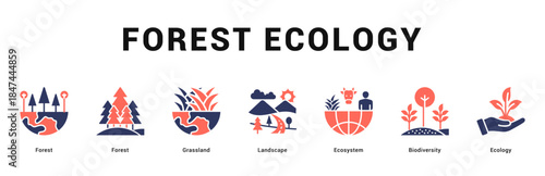 Forest Ecology Modern and clean web banner illustration featuring thematic icons for visual communication