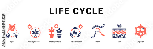 Life Cycle Modern and clean web banner illustration featuring thematic icons for visual communication