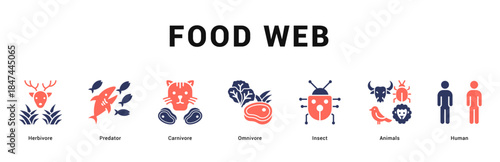 Food Web Modern and clean web banner illustration featuring thematic icons for visual communication