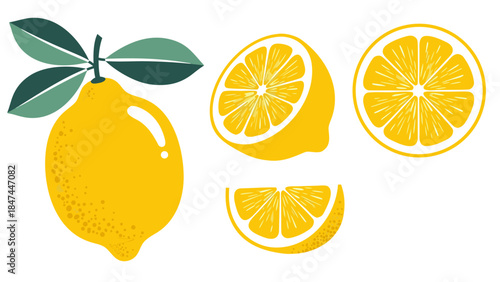 A vibrant illustration of a whole lemon with leaves and stem, alongside two halves and a quarter slice of a lemon, showcasing its juicy interior.
