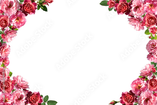 pink rose frame